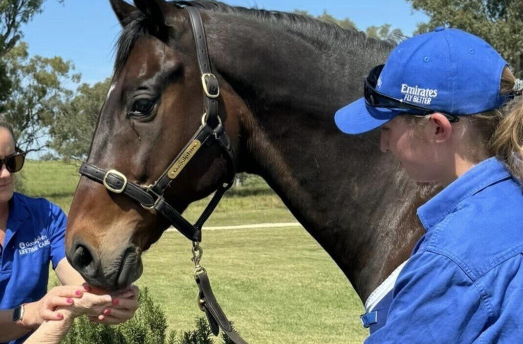 HammondCare's tweet photo. HammondCare residents are eagerly getting ready for the Melbourne cup! 

In the lead-up to Melbourne Cup Day, our residents in Scone have been busy preparing. With the help of our wonderful volunteer, Robyn, they’ve crafted beautiful fascinators to wear on the big day. 🐎💙 https://t.co/bWfgucKF3a