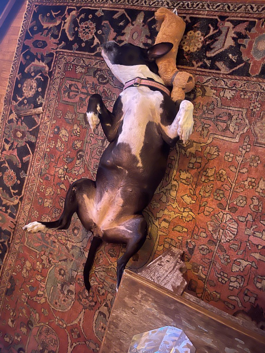 Denise Crosby tweet media