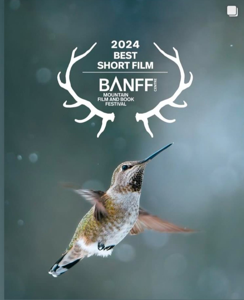 Greg Kawchuk (@gnk1) on Twitter photo Congratulations to the composer <a href="/jonathankawchuk/">Jonathan Kawchuk</a> The Bird in My Backyard - Winner of the Best Short Film - Banff Mountain Film Festival. "...complemented by an exquisite soundtrack and sound design that takes us deeper into this adventure" - JoaquÃn Gomez, Film Competition Jury Congratulations to the composer <a href="/jonathankawchuk/">Jonathan Kawchuk</a> The Bird in My Backyard - Winner of the Best Short Film - Banff Mountain Film Festival. "...complemented by an exquisite soundtrack and sound design that takes us deeper into this adventure" - JoaquÃn Gomez, Film Competition Jury