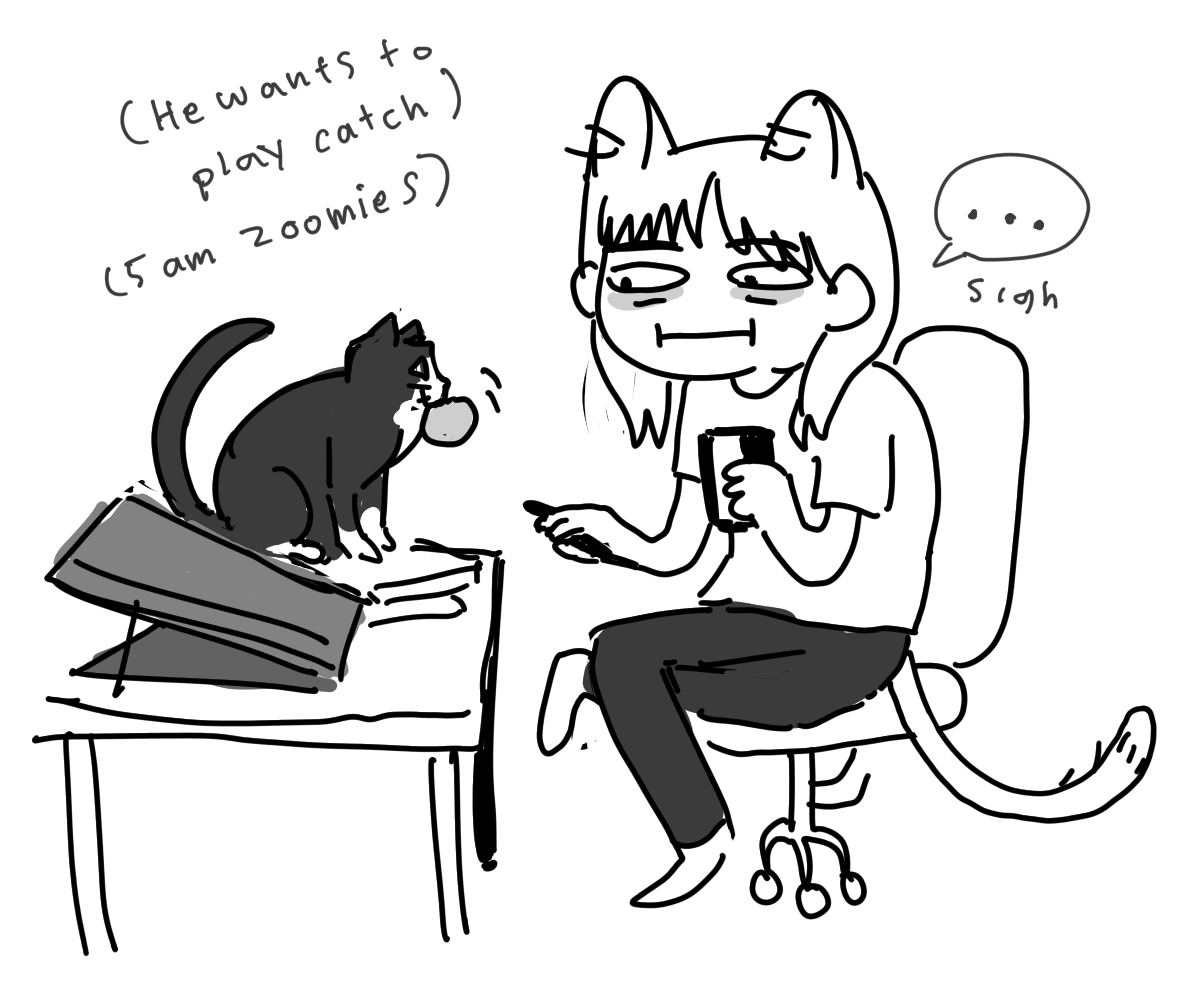 my cat pepper acts more like a dog 