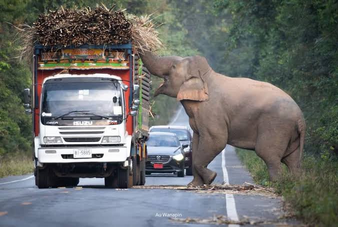 Tax Deduction at Source.