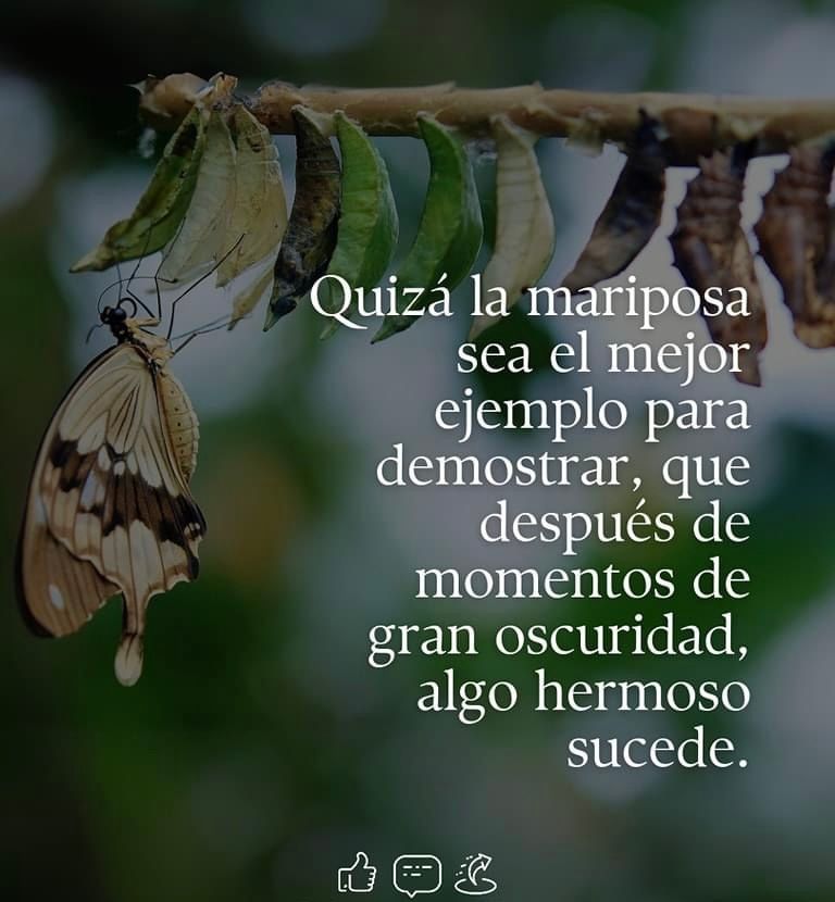 Paulo Coelho Español (@paulocoelhodice) on Twitter photo 
