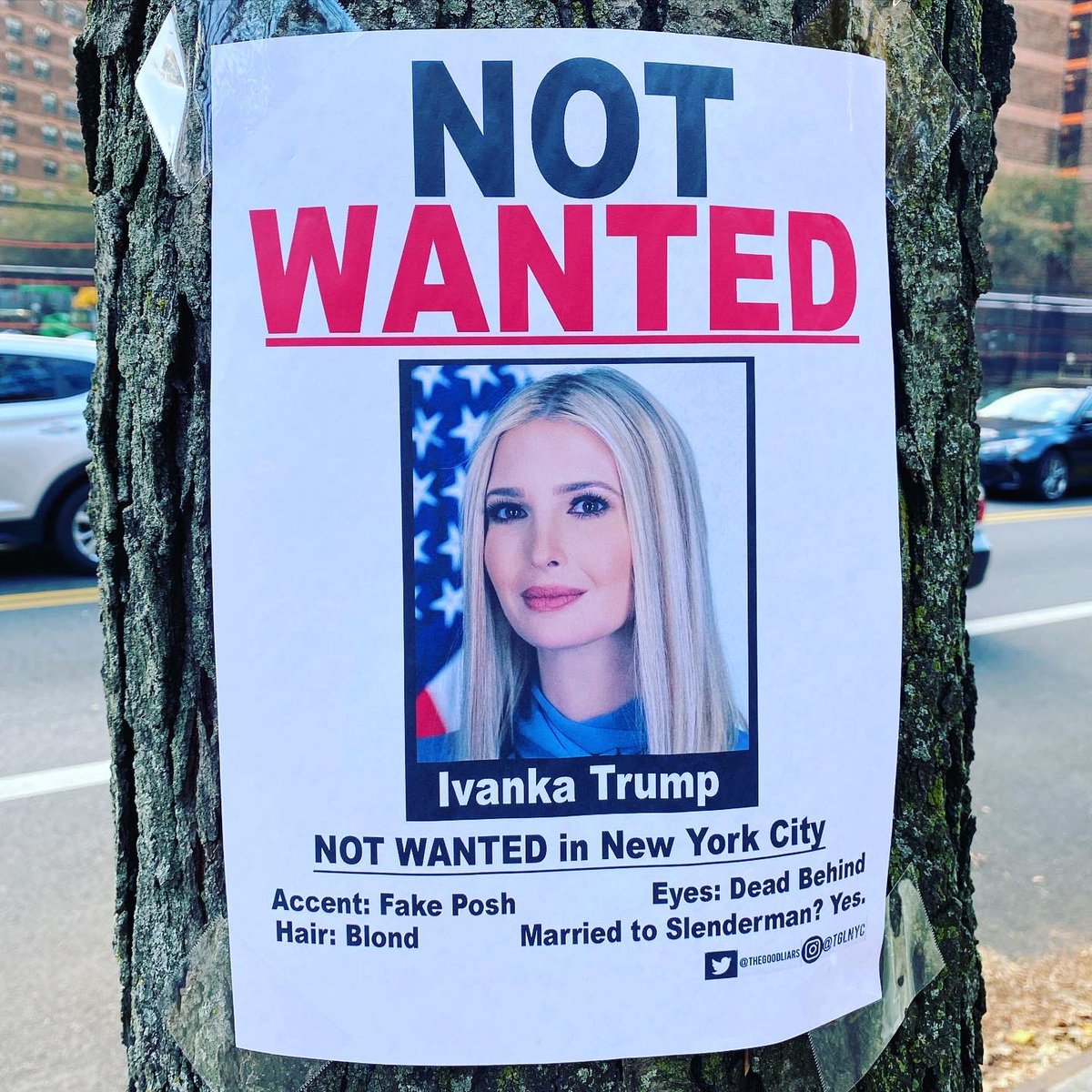 FrancisWegner's tweet photo. I saw Ivanka was trending and it reminded that this will never not be funny. Thank you, @TheGoodLiars. 🙏😹 https://t.co/u2B1kIK6u7