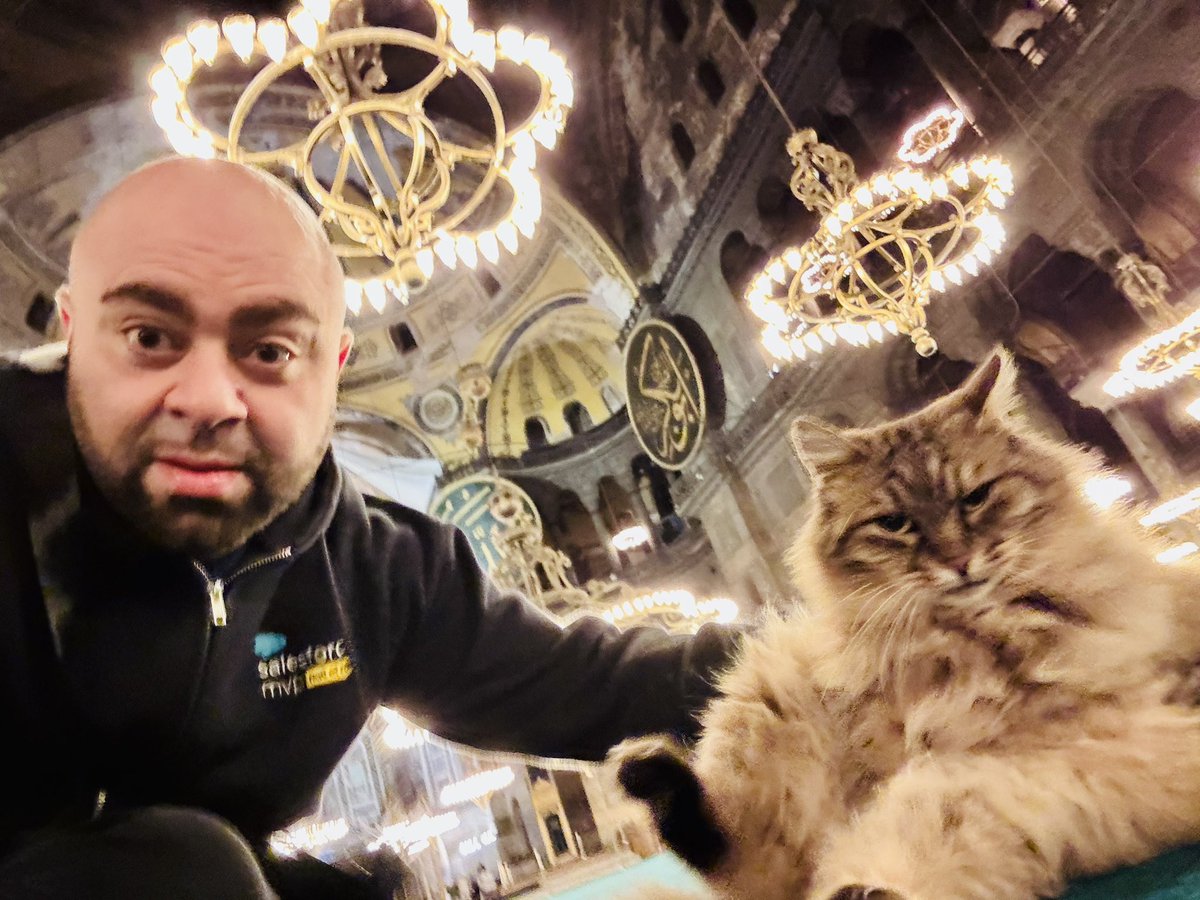 Sharif Shaalan tweet media