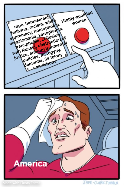 What a tough choice. Good luck tomorrow, America.