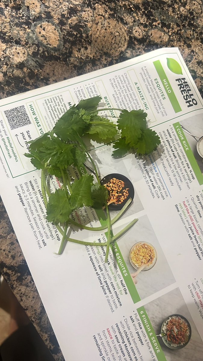 This amount of cilantro for two people is criminal <a href="/HelloFresh/">HelloFresh US</a>