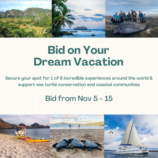 SEEturtles's tweet photo. We're thrilled to launch our 2024 Sustainable Travel Auction! We're working with tour operators to auction off six extraordinary experiences. The funds will support our efforts to stop the tortoiseshell trade &amp; clean up plastic. Bid today to save turtles!
https://t.co/3cyq48i0he https://t.co/cLQJrdIbpb