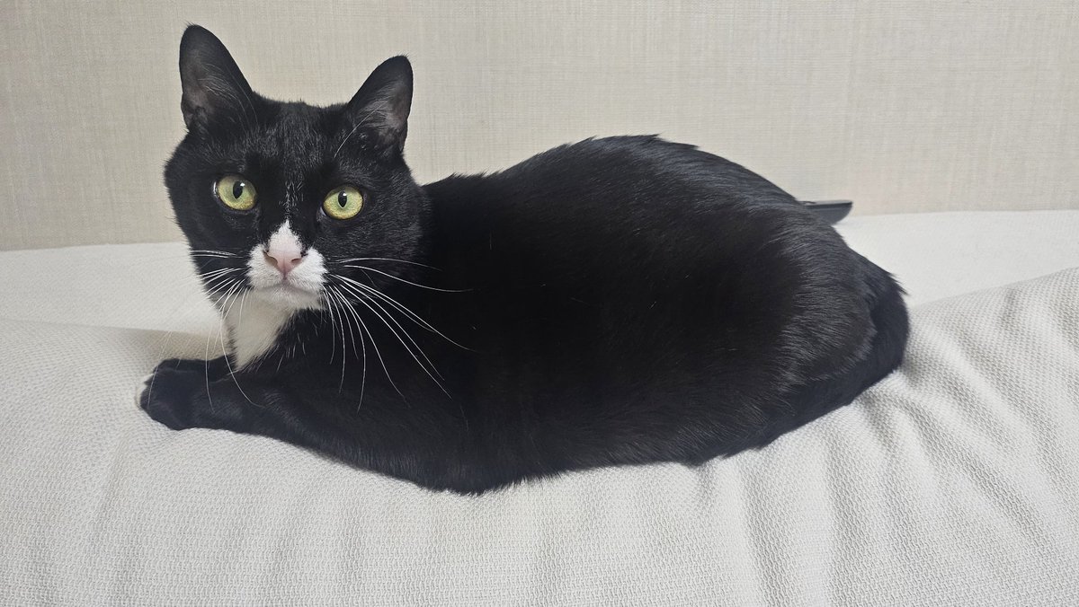 재택하는 엄마 껌딱지