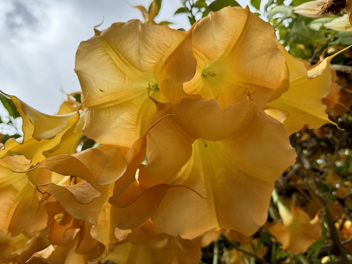 Self Care Reminder 
We Will Get Through This 
Remember to Breathe ✨💙✨