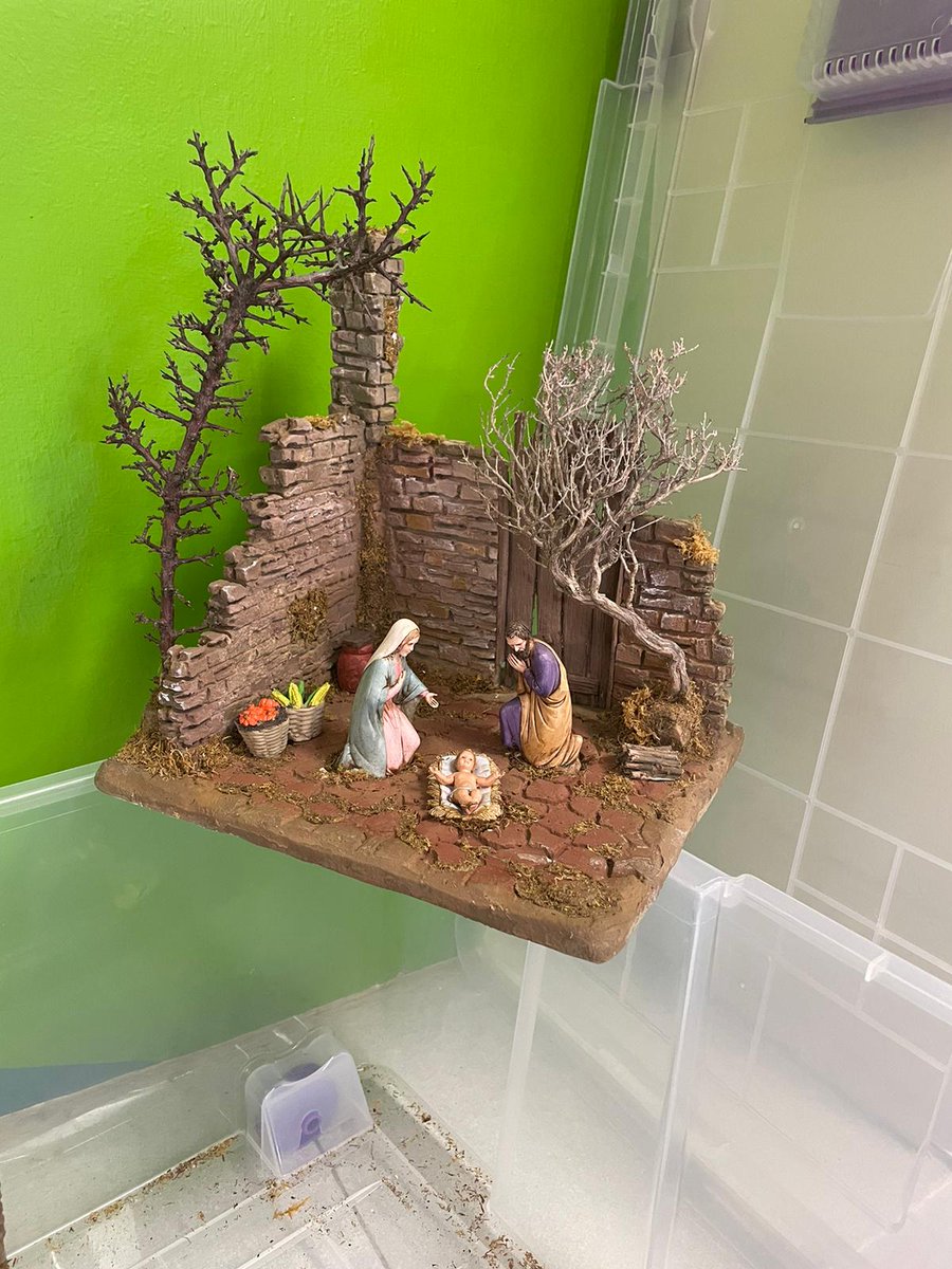 PROFESIONALES SOLIDARIOS tweet media