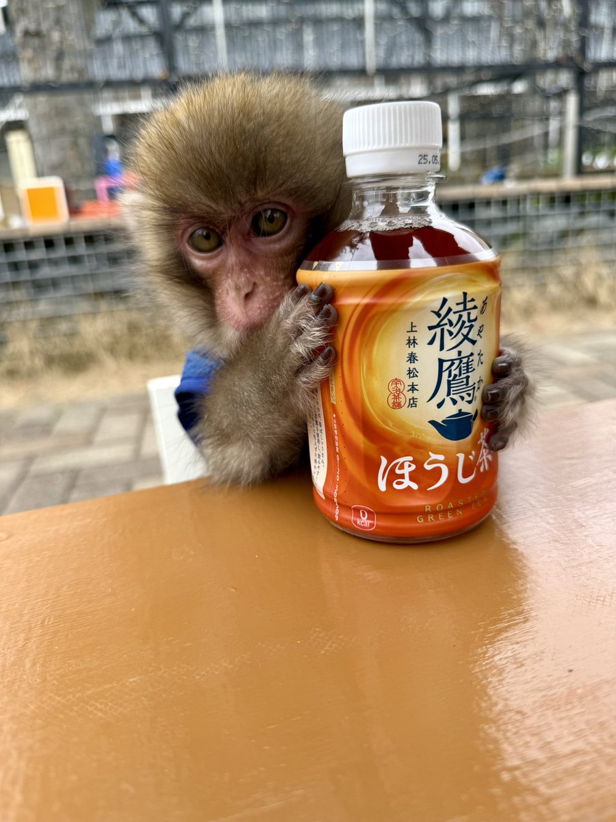 皆さんお疲れ様です🥰

元気出してね♫

#モンキーエンターテイメント
#モンタメ　#モン民
#お疲れ様
#かあるくん