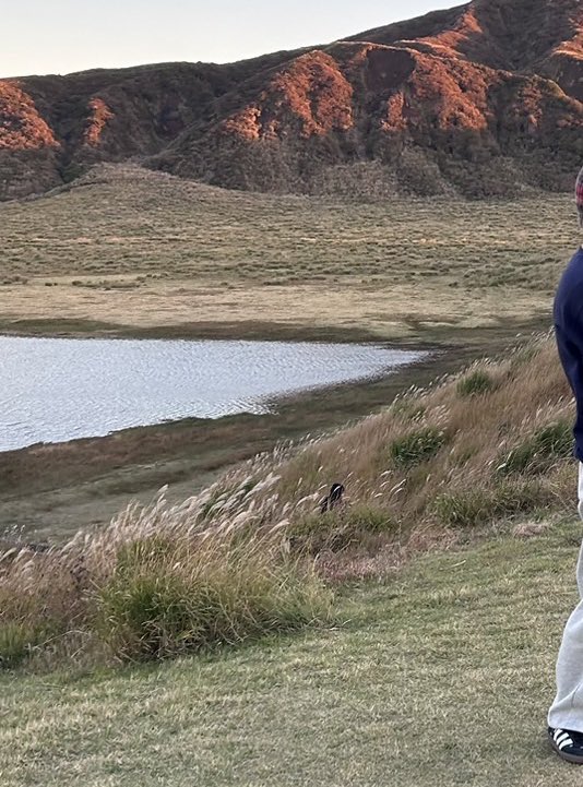 おさおクン tweet media