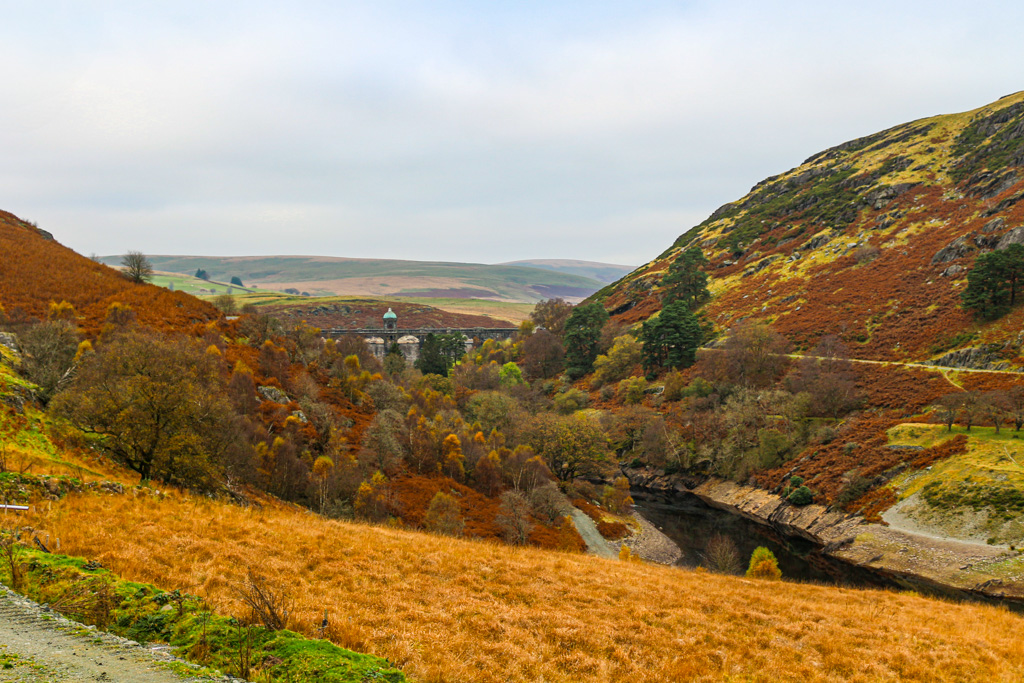 Jones8Pamela's tweet photo. Craig Goch dam Elan Valley perfectly framed by the glorious Autumnal colours @visitrhayader @TheElanValley @Elan_Valley @ItsYourWales @VisitCambMts https://t.co/Z0a7cBG1u5