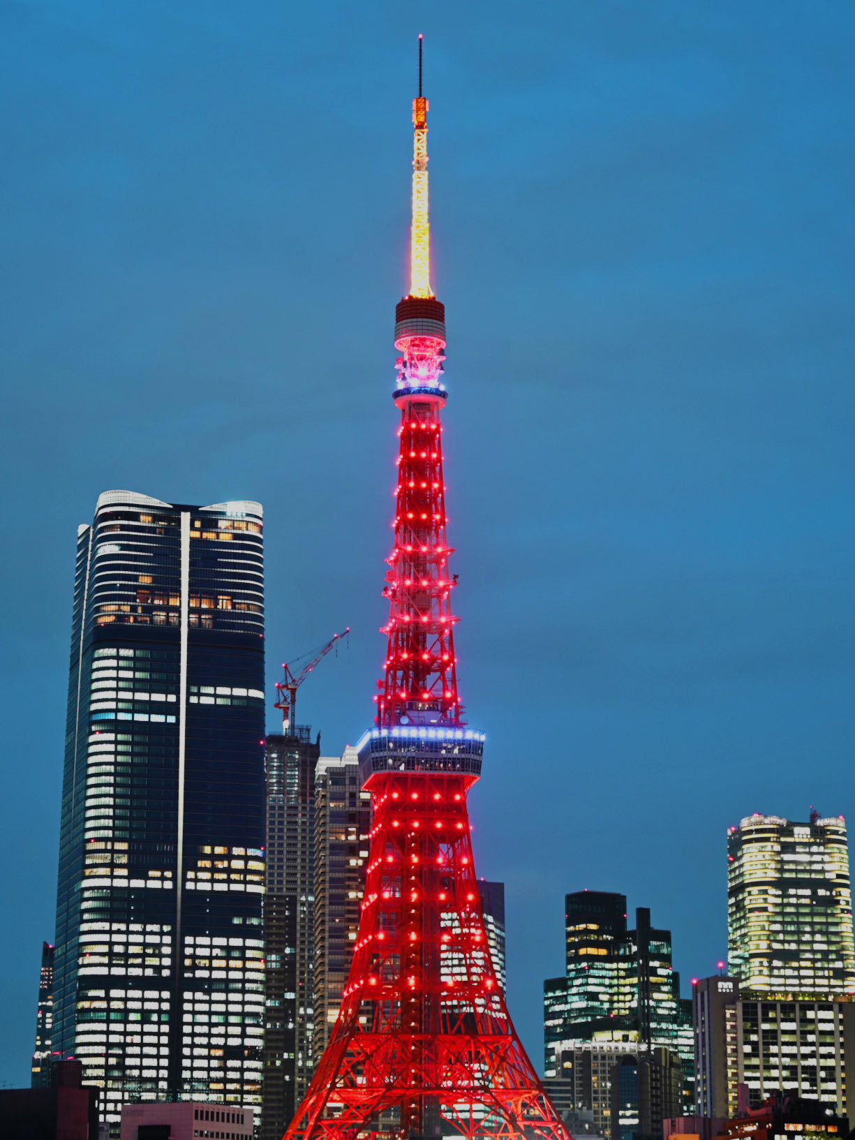 缶バッジ 条野採菊 40点 東京タワーRED 僕のヒーローアカデミア×RED° TOKYO TOWER | AMNIBUS