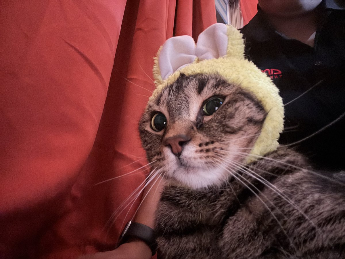 GriffethHannah's tweet image. Carl and Matilda update after not being active or having this app since probably July 🤪