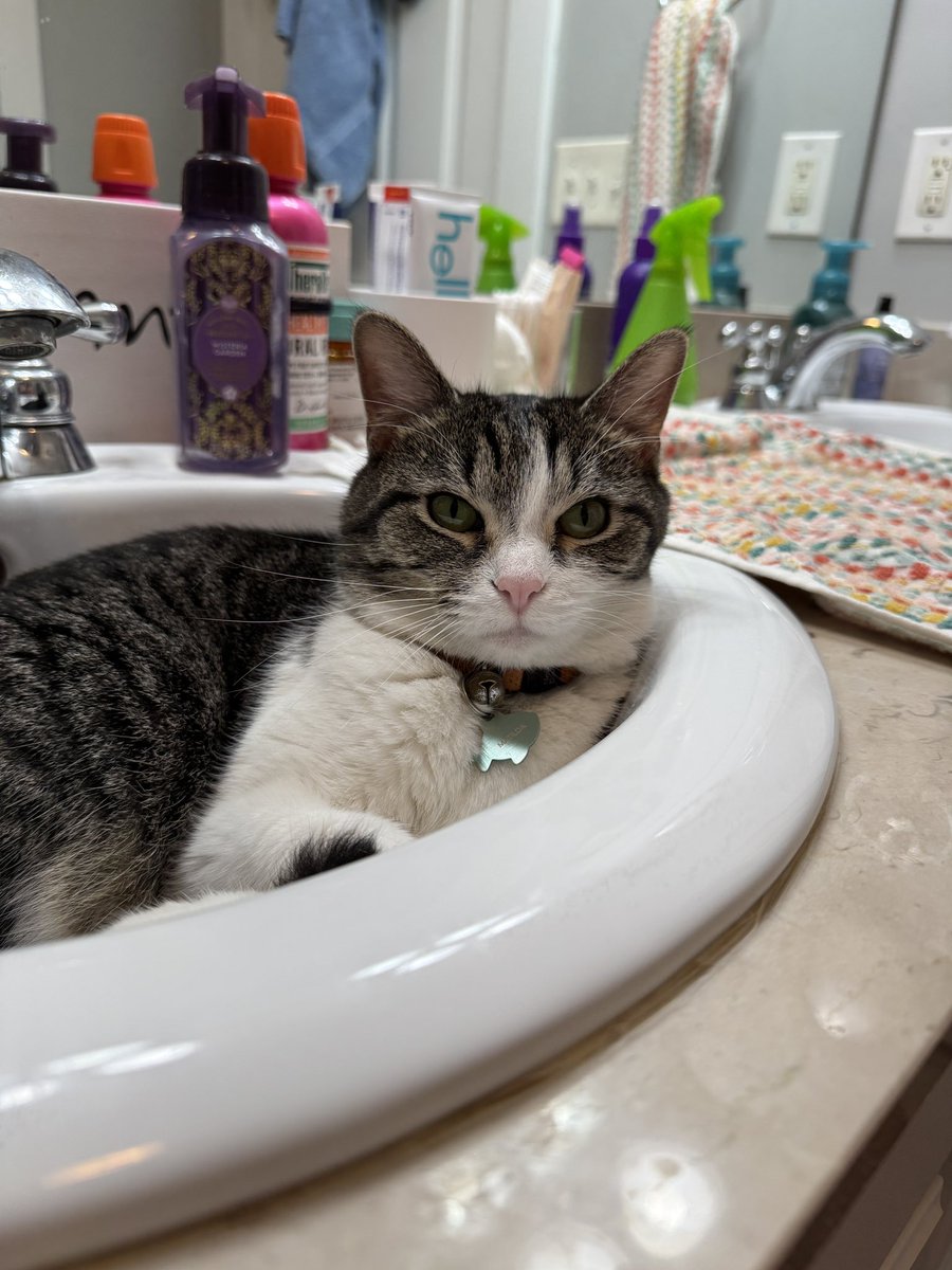 GriffethHannah's tweet image. Carl and Matilda update after not being active or having this app since probably July 🤪