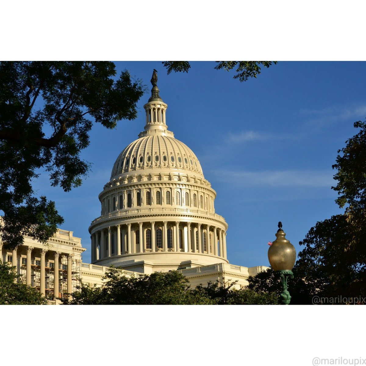 Mariloupix📸 tweet media