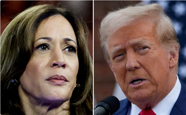 alizehshah2018's tweet photo. North Carolina and Georgia are emerging as key battleground states in the 2024 election. Both Harris and Trump are campaigning hard in these Southern states. #NorthCarolina #Georgia #USElections 
Read more: https://t.co/QFKG2J2opJ https://t.co/MtDGgUPuci