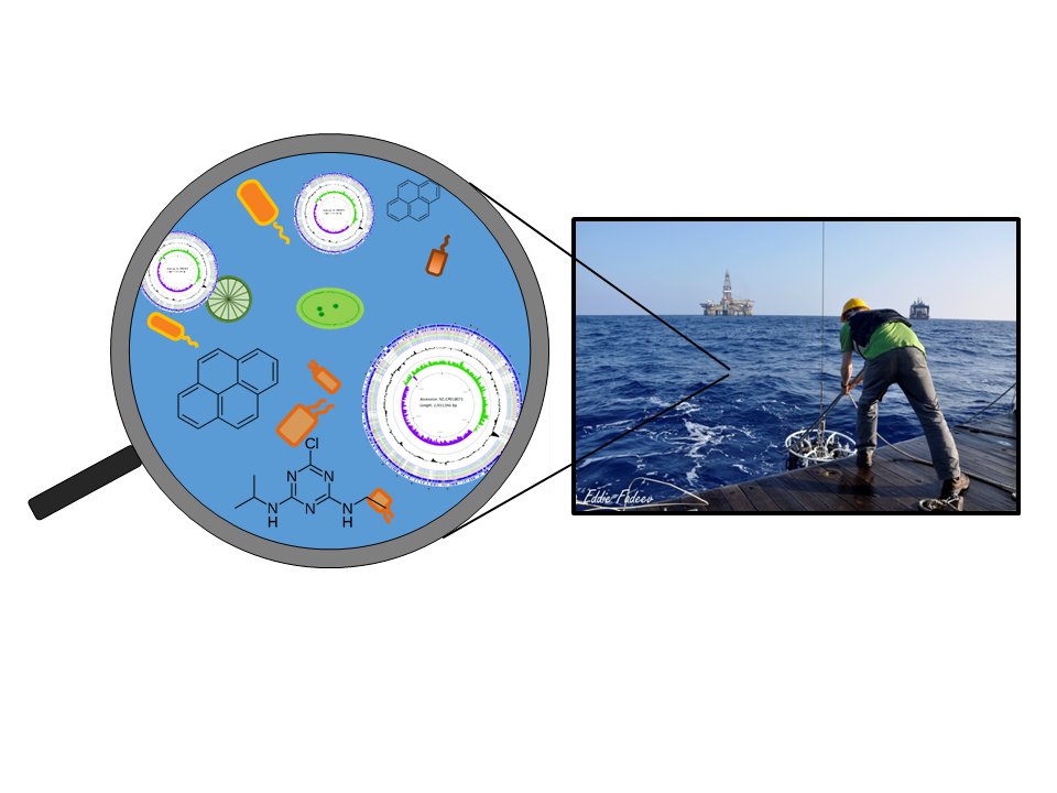 Postdoc positions in Israel! If you are interested in studying phytoplankton-bacteria interactions using experiments and models, and have experience in algal biology, biogeochemistry and/or modeling, please send me an email (relevant also to other labs)
azrielifoundation.org/fellows/intern…