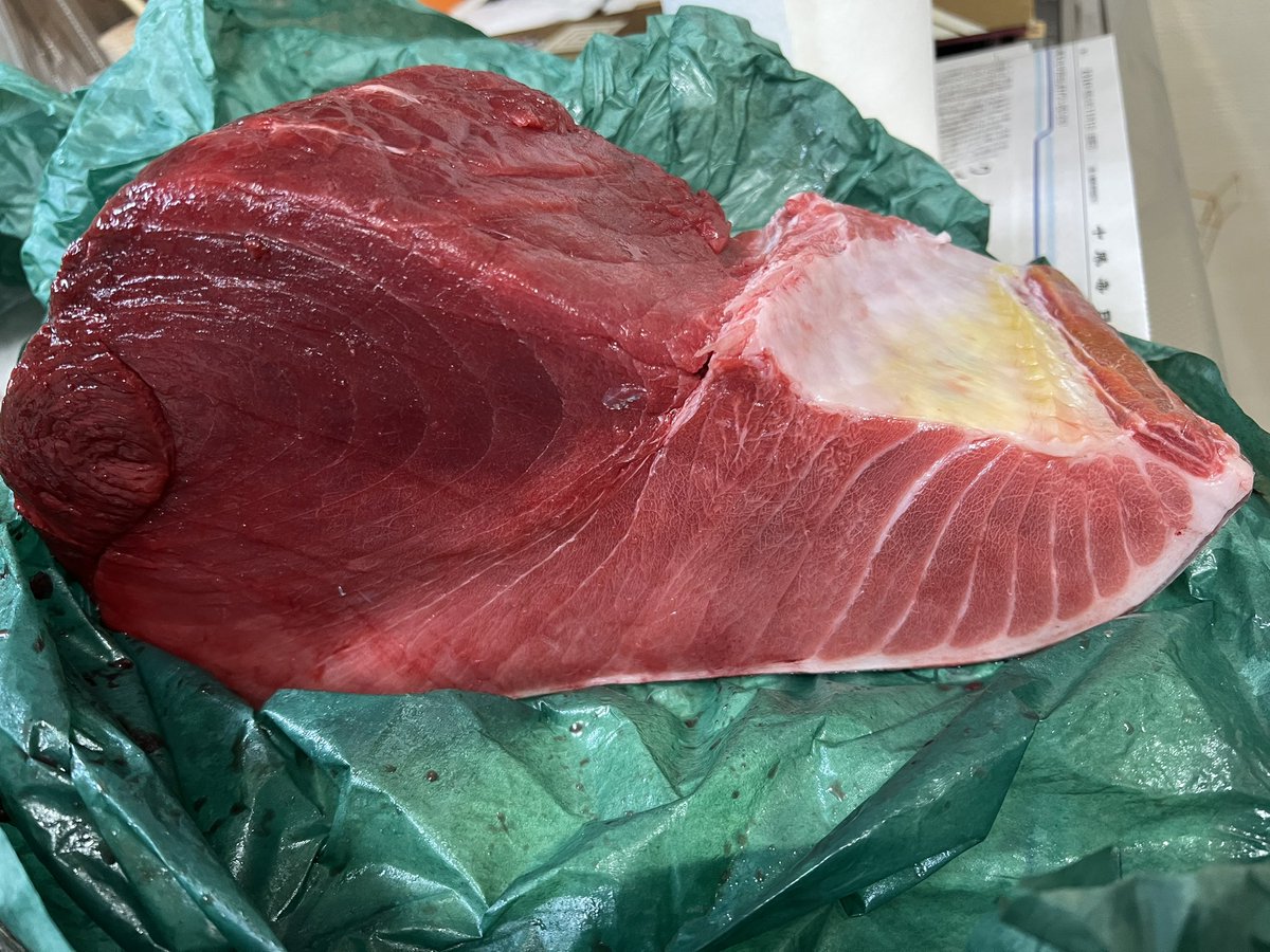 F___n_o_r's tweet photo. 本まぐろブロック😍
もらっちゃったー‼︎ 中トロ〜🤤 https://t.co/rxNzK2jVSN