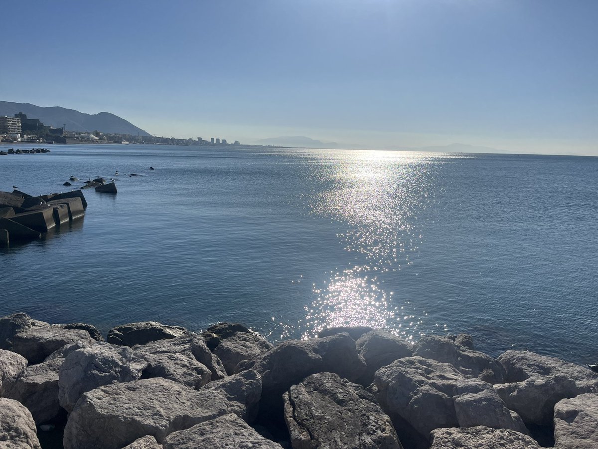 TiffinClassics's tweet photo. Salerno https://t.co/NN3Z1HvvLd
