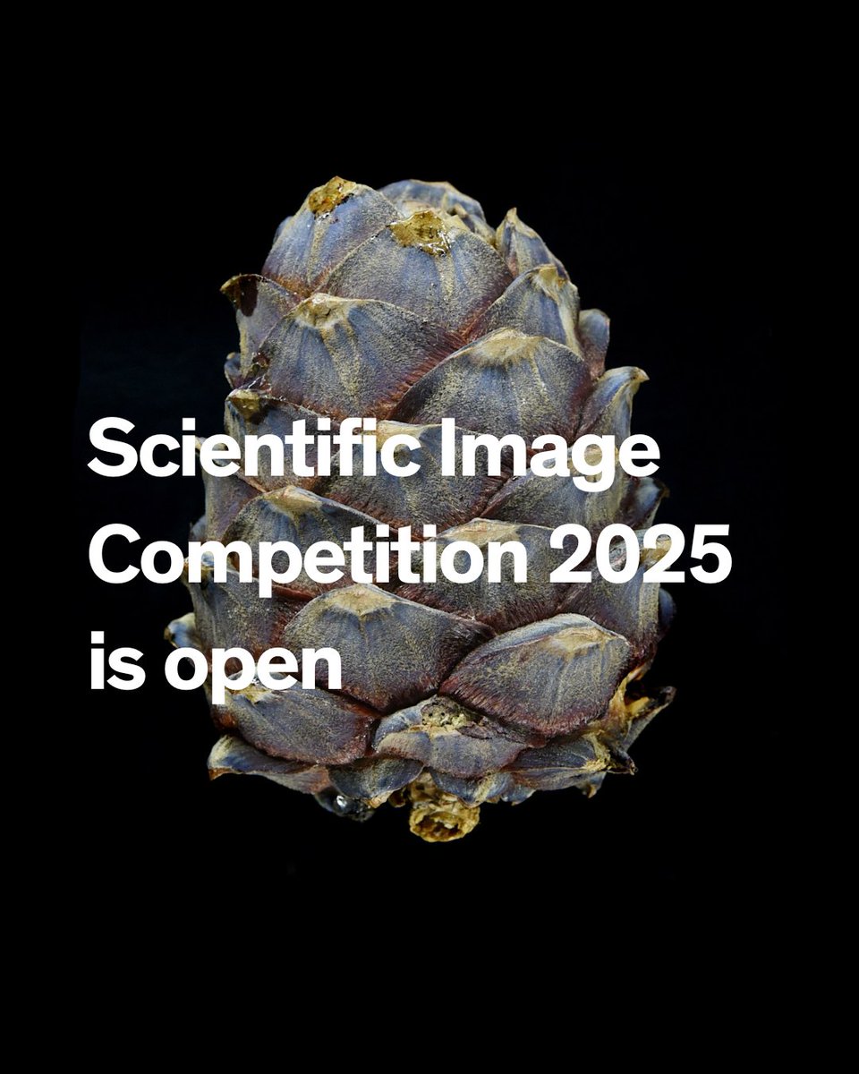 Swiss National Science Foundation tweet media