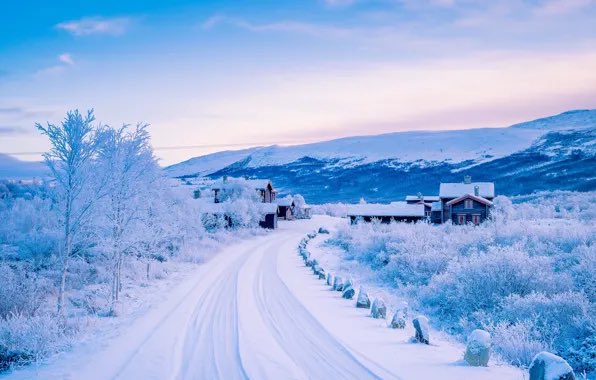 ‘The town is quiet. I suspect it is always quiet. Those who live elsewhere are fixing to leave for the night. Those who live within this steep-sided bowl of a mountain valley are completing their chores, buying their goulash soup in a tin, and heading off home with their necks
