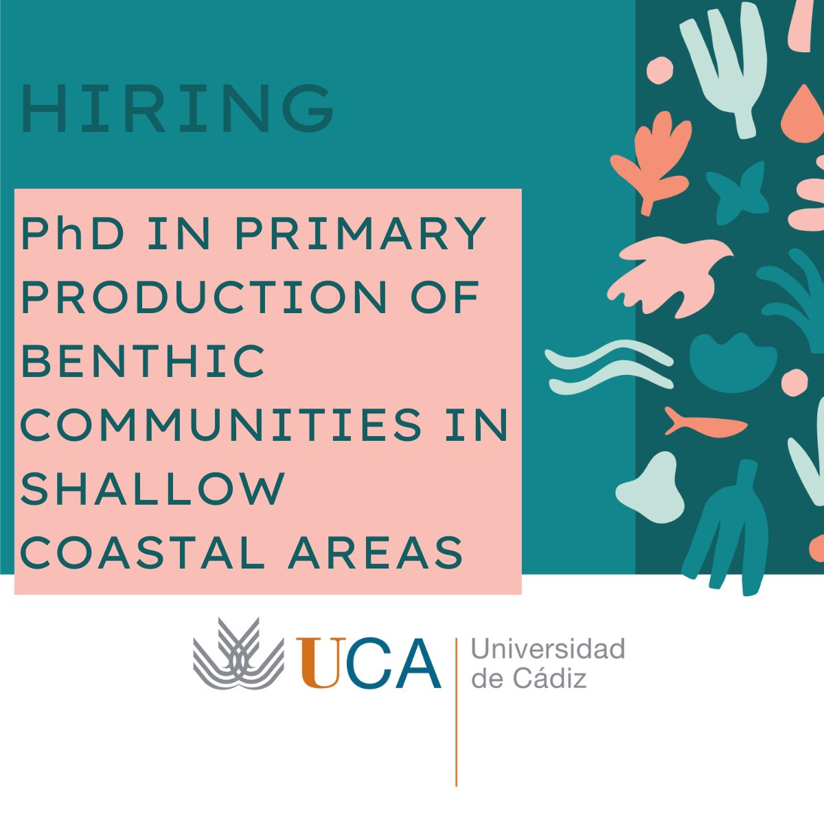 REWRITE_EU (@rewrite_eu) on Twitter photo 🌊📢PhD Opportunity! Join the <a href="/univcadiz/">Universidad de Cádiz</a> team to research greenhouse gas emissions in coastal ecosystems🌍
Fully funded 4-year position; apply by Nov 6! Master’s in Marine Sciences, Chemistry, or similar required.
🔗More info: rewriteproject.eu/news/18/exciti…
#PhD #ClimateResearch 🌊📢PhD Opportunity! Join the <a href="/univcadiz/">Universidad de Cádiz</a> team to research greenhouse gas emissions in coastal ecosystems🌍
Fully funded 4-year position; apply by Nov 6! Master’s in Marine Sciences, Chemistry, or similar required.
🔗More info: rewriteproject.eu/news/18/exciti…
#PhD #ClimateResearch