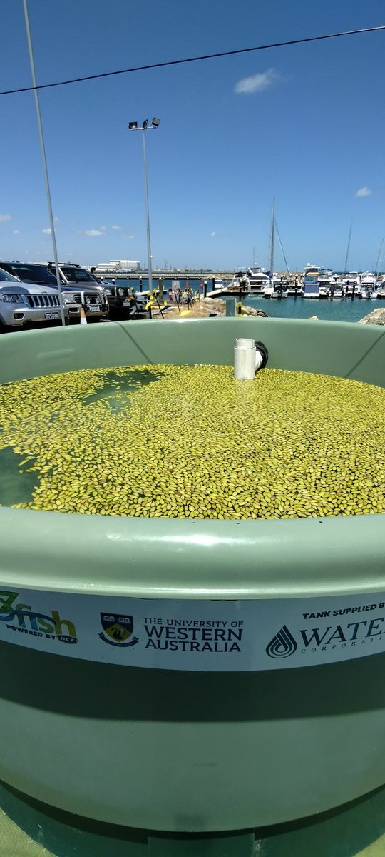 Rachel Austin tweet media