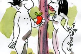 Mr.ZAHER (@zahernourredine) on Twitter photo 