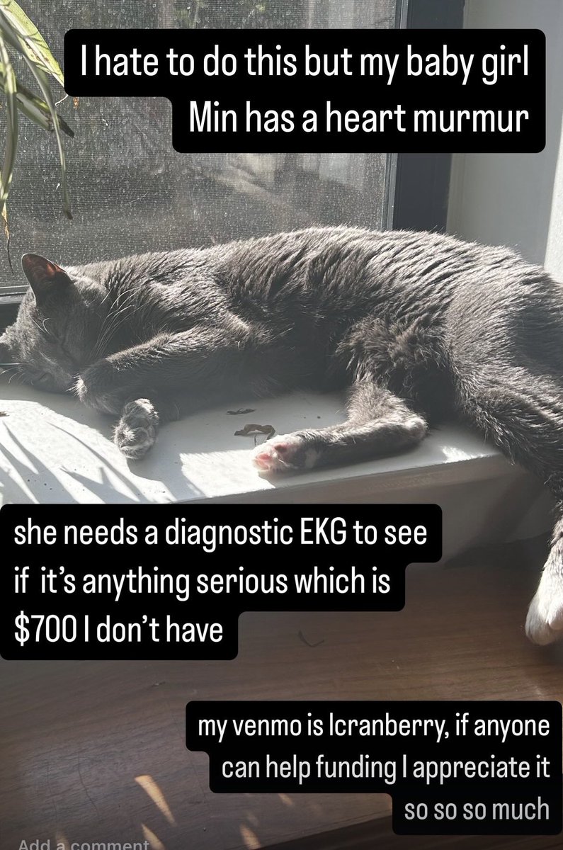 4G0ND0R's tweet photo. https://t.co/BLk6xdO4ZC
