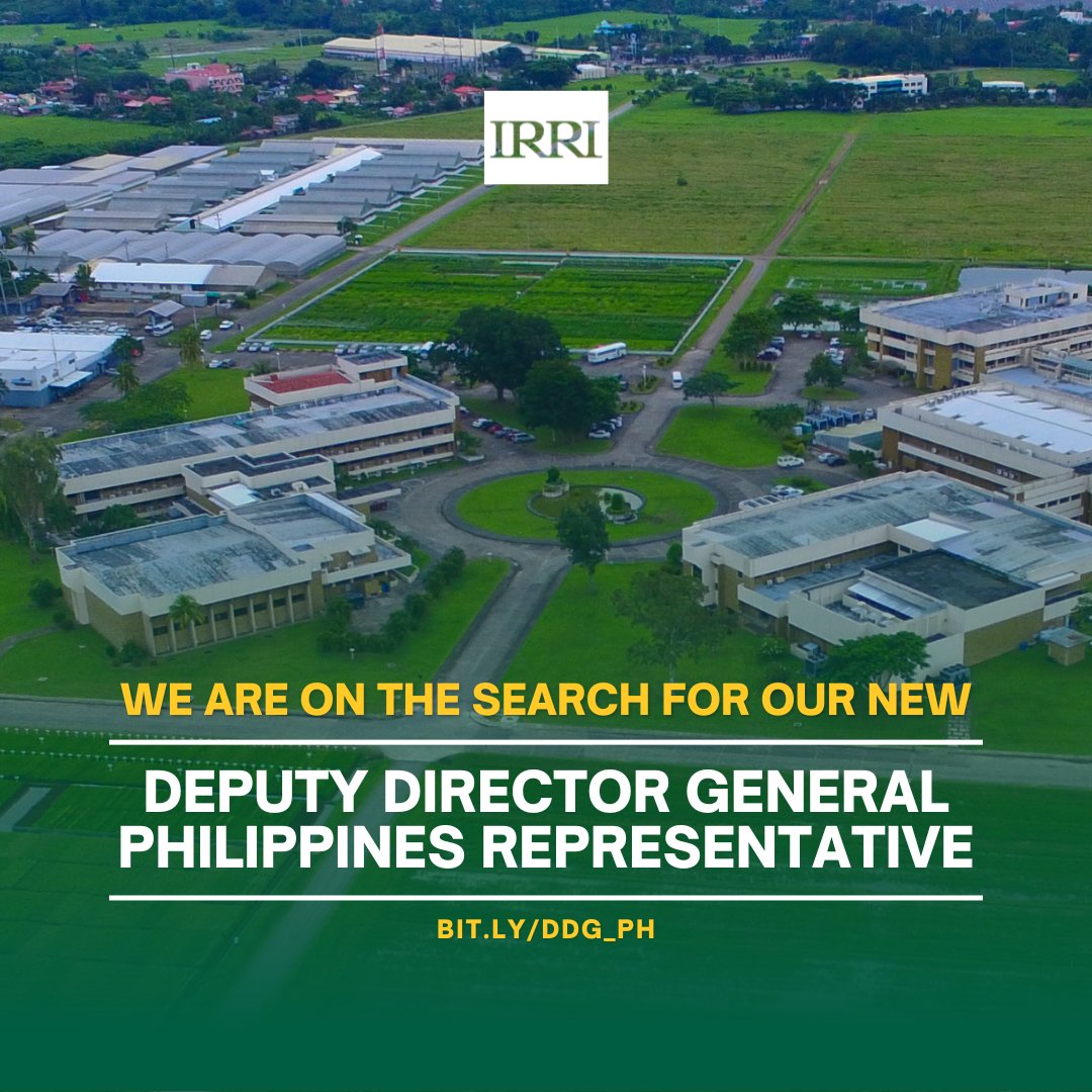 irri's tweet photo. Lead with Purpose, Inspire Rice-based Food Systems Transformation! 🌟 We’re searching for visionary leaders ready to shape the future of our institution. 

➡️ https://t.co/Xn5zN6xi3c 
➡️ https://t.co/lpUMzltGuh 
➡️ https://t.co/f07d0T8UwZ 
➡️ https://t.co/BeNOz49gfI

#IRRI https://t.co/lpCQefRz45