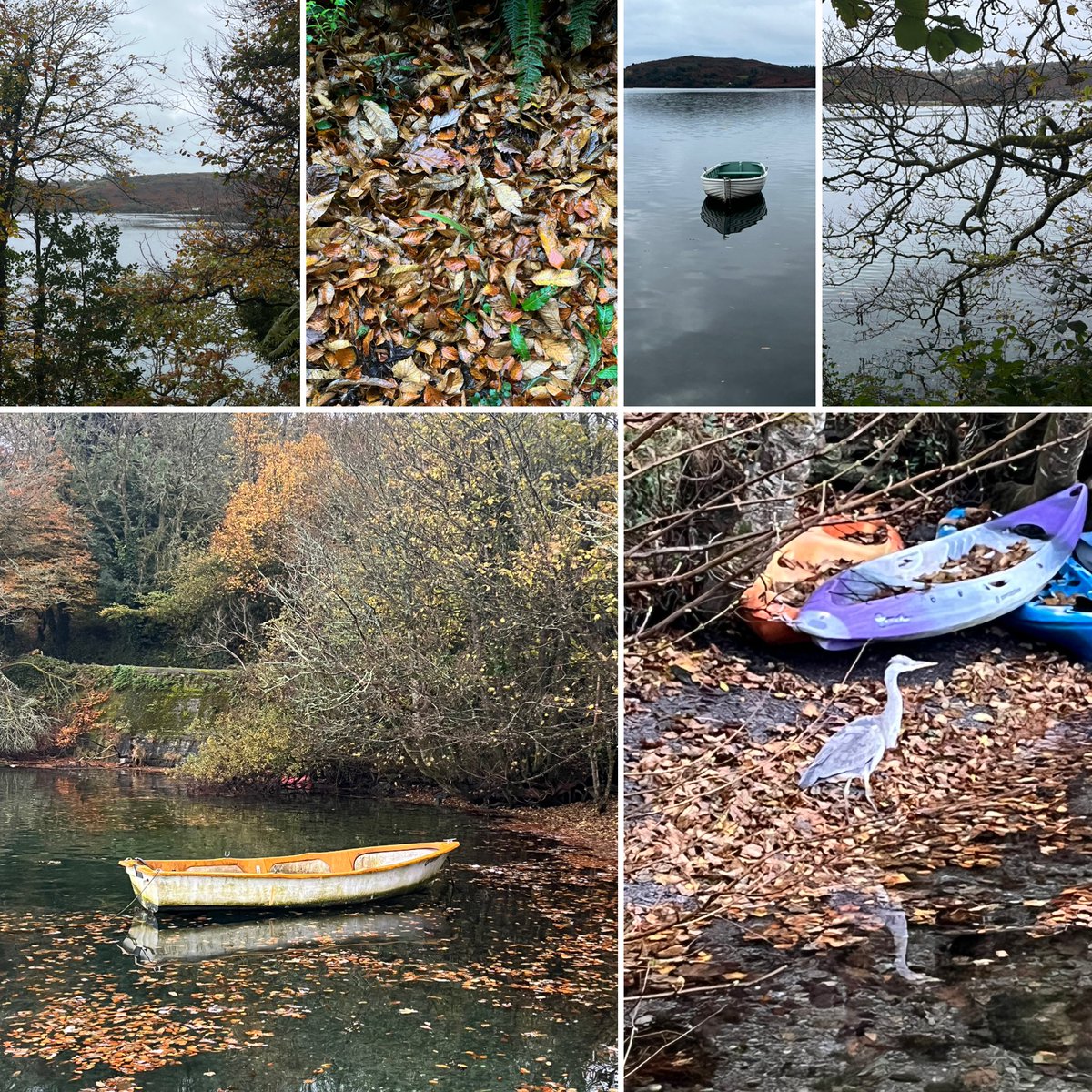 Tom Rourke 🇺🇦 (@tomrourke) on Twitter photo 