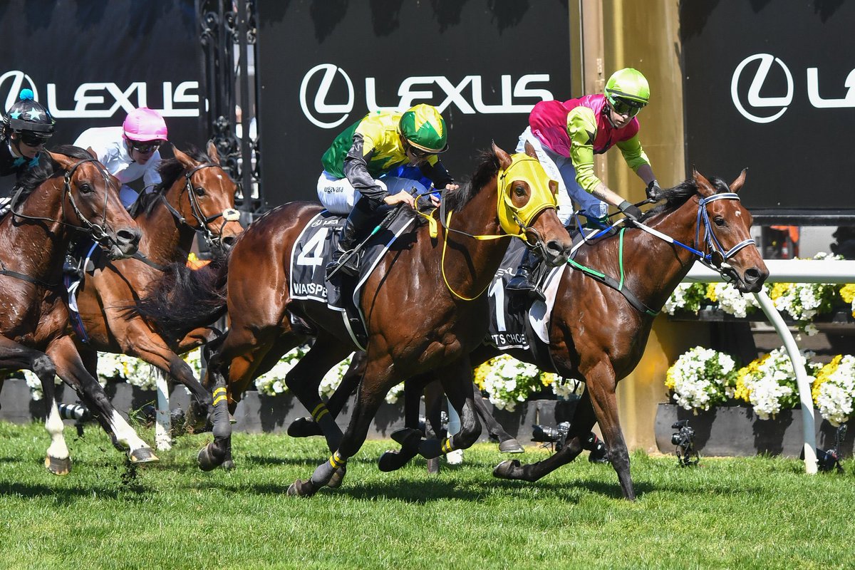shbloodstock's tweet photo. An 80/1 Extreme Choice wins the Melbourne Cup ridden by a Voice contestant! Ok that is charming and a beautiful thing #Knightschoice #MelbourneCup2024 ❤️❤️❤️ https://t.co/H4qayUNj2l