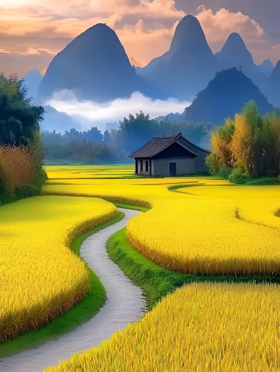 最美的风景在田间地头！
#秋天  #丰收   #大美中国