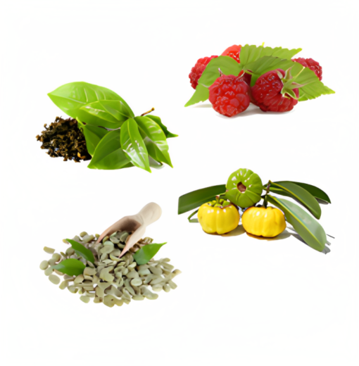WellHealth68259's tweet photo. Need support on your weight loss journey? 

🌟 Slendarol is here! With plant-based ingredients, this vegan-friendly supplement supports dieting, exercise.

Discover it here: https://t.co/x7stIrVTeg 

#Slendarol #WeightLossSupport #VeganFriendly https://t.co/PTid3xWtc9