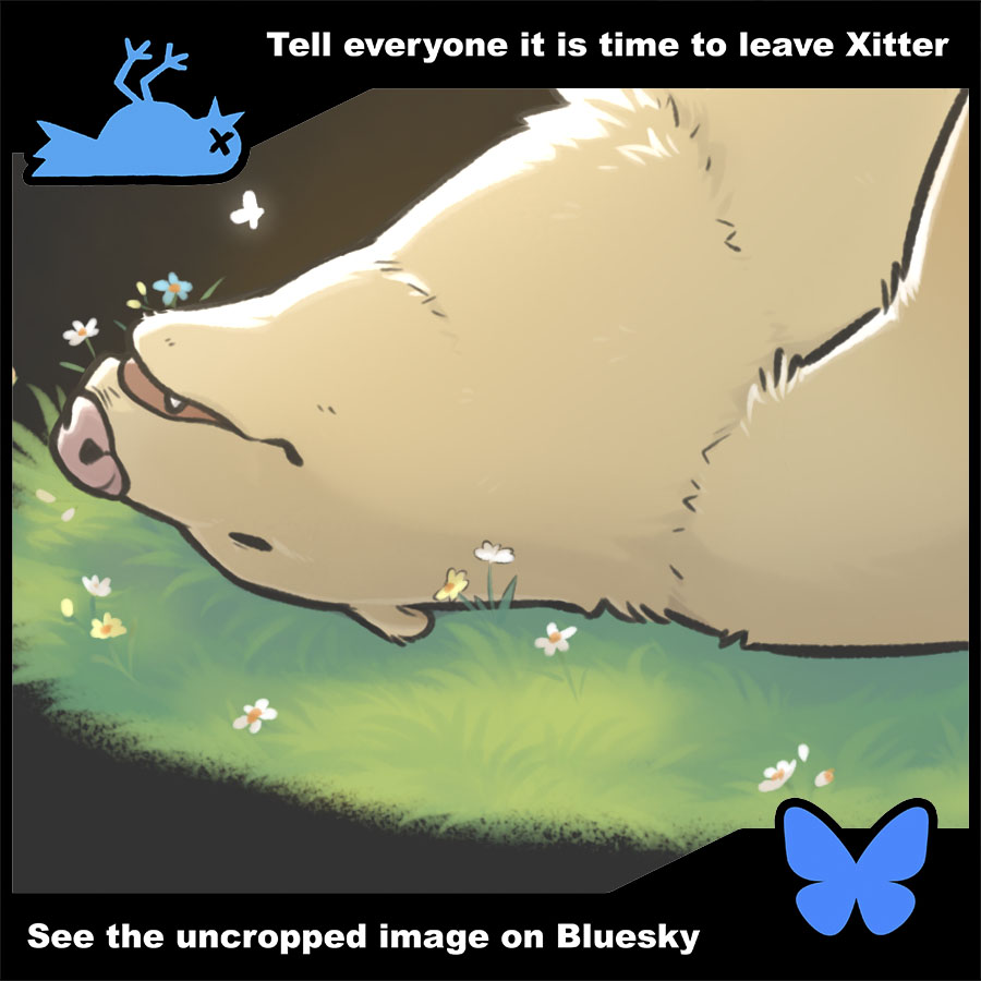 Now that the elections are nearly over, and that it's clear that this site is nothing but a propaganda machine and that staying here is only helping that asshole's message spread, would you take a moment to make the switch and ditch this place at last? No better time than now.