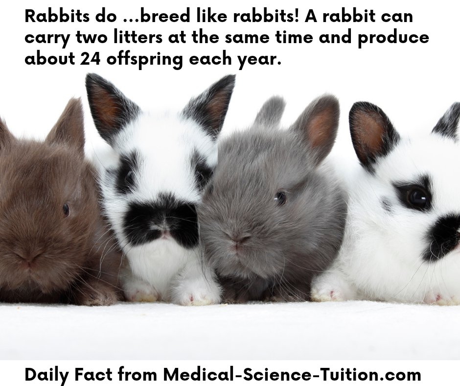 MedSciTuition's tweet photo. Daily Fact from https://t.co/Cp41zVKb1Y 
GCSE and A-level Science one to one and group tuition provided by expert, experienced, qualified teachers. Contact us for more details or to sign up. 
Email: admin@medical-science-tuition.com 
Or
What's app:  07743 245859. 

#science https://t.co/UoupdcfLqz