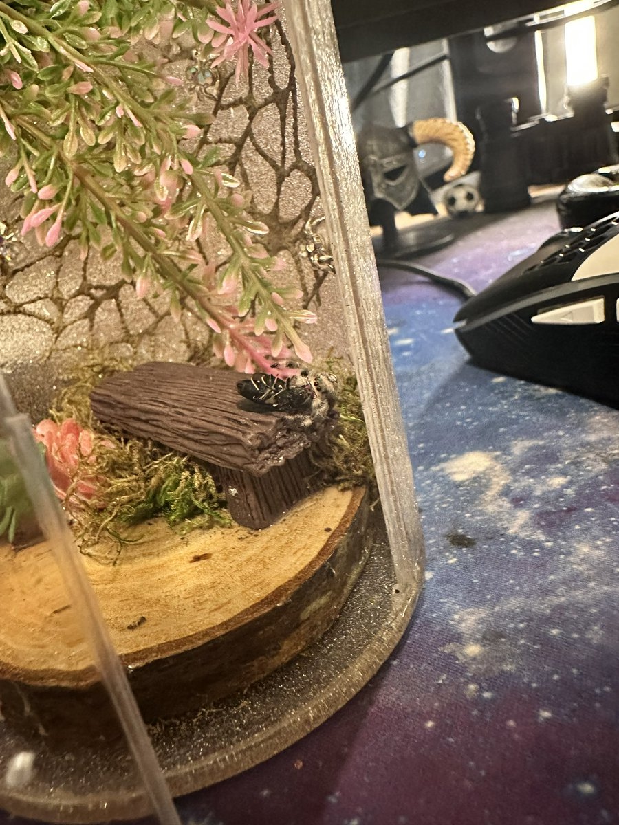 GraceFace tweet media