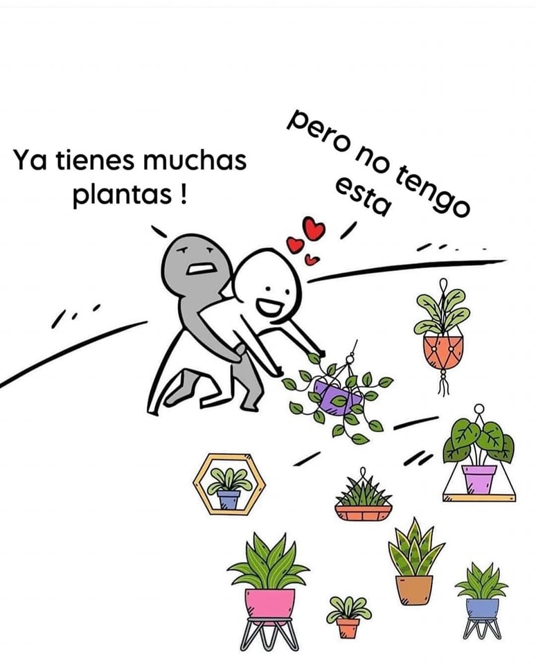 EnsedeCiencia's tweet photo. Solo los amantes de las plantas entenderán. ☝🏻😵‍💫🪴 

📷: A quien corresponda. https://t.co/tnAvYTgX4i