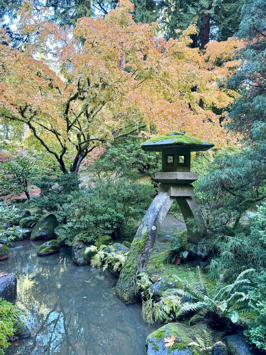 kathduck's tweet photo. Happy Jason Day!! ❤️    ⛩️🌲🍃🍂🍁 @PDXJapaneseGdn 

#Awesome       Love. love. Love!!! https://t.co/IlOlP1k5dT