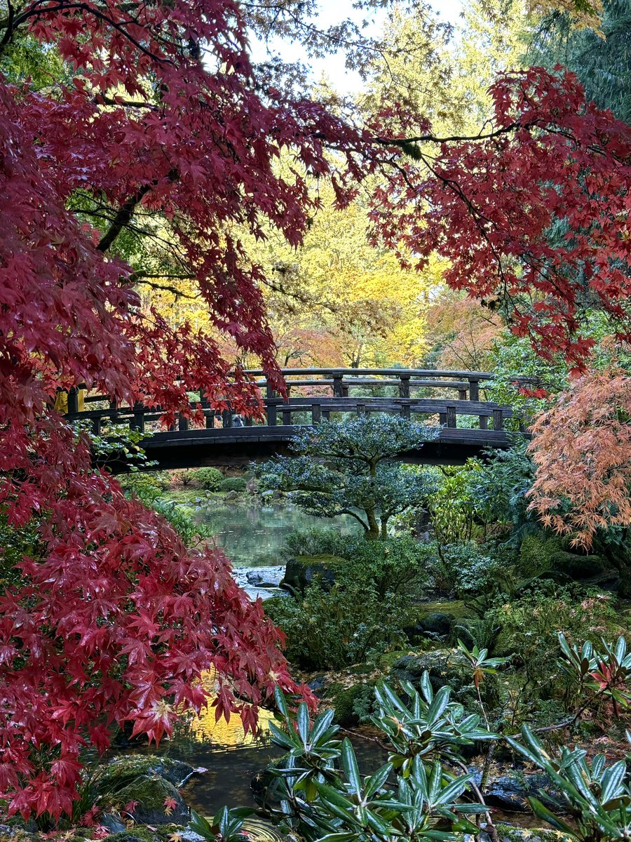 kathduck's tweet photo. Happy Jason Day!! ❤️    ⛩️🌲🍃🍂🍁 @PDXJapaneseGdn 

#Awesome       Love. love. Love!!! https://t.co/IlOlP1k5dT