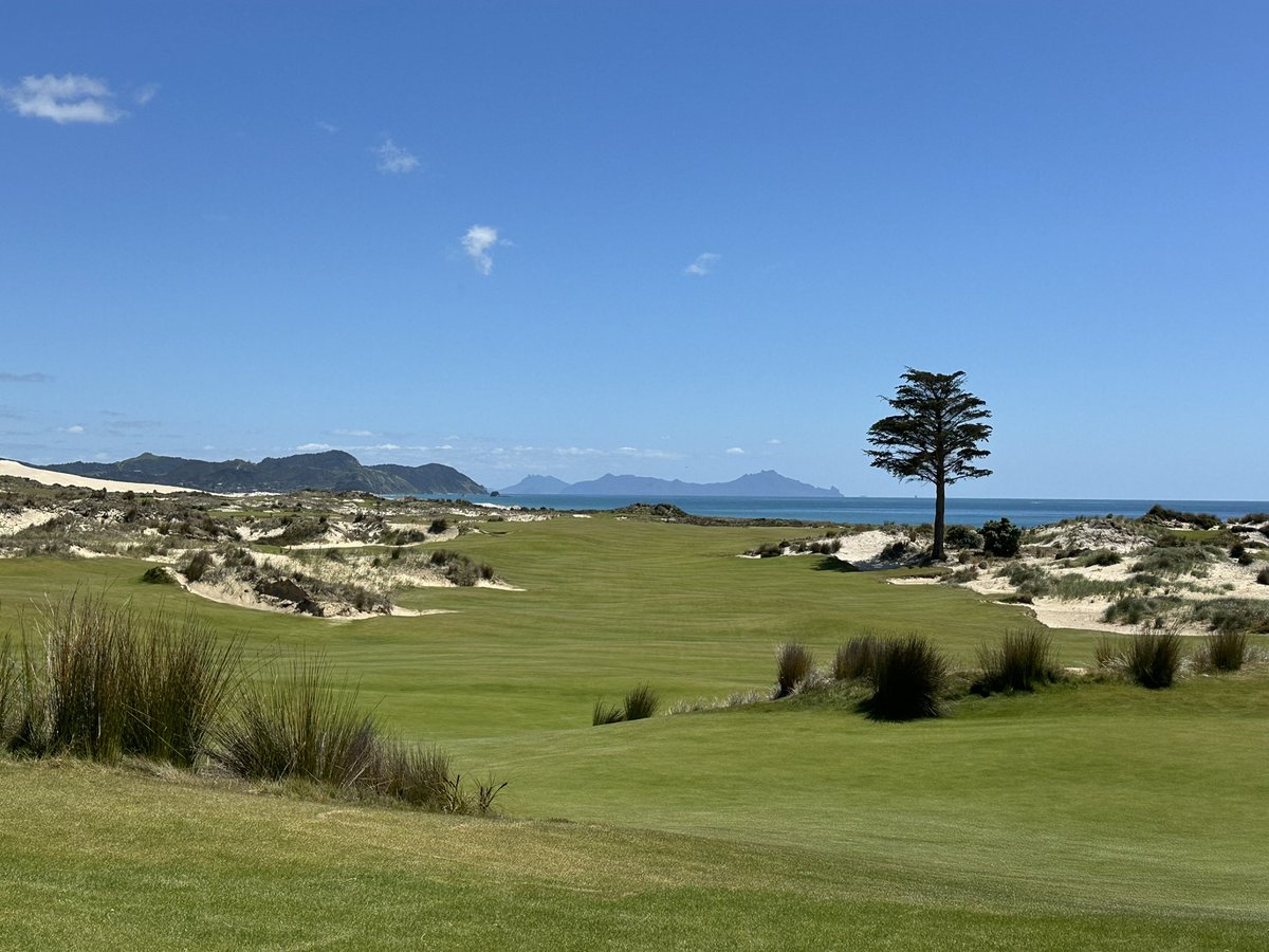 Canadian TinCup tweet media