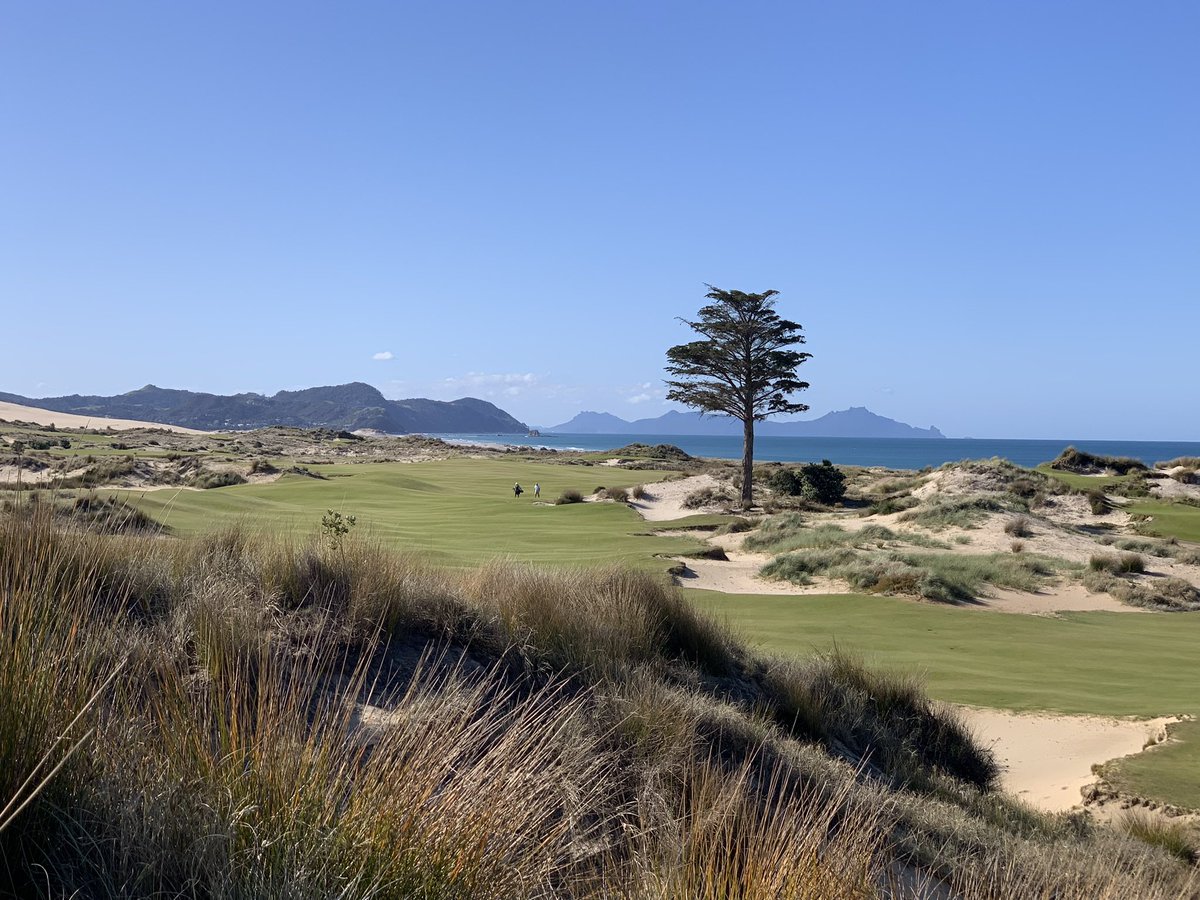 Canadian TinCup tweet media