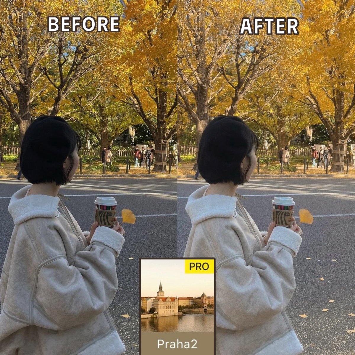 Foodie_Official's tweet photo. Foodieのプラハフィルターが秋にぴったりすぎる、、、🤎 https://t.co/9R9Ri8sMlN