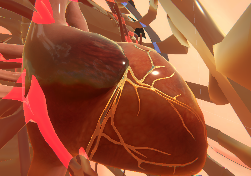 lunoxinn's tweet photo. 彼女の胸の中
Inside her chest
#heartbeat #heart #xray #cardiophilia #cardiophile #irregular #ASMR #心音 #心臓の音 #息止め #female #心フェチ #HeartBeatSimulator #hb #fastheartbeat #fast #fasthb #steth #stethoscope #vore #organs #insidebody #inside #lungs #lung #ribs #rib https://t.co/TYn9K2fbZh