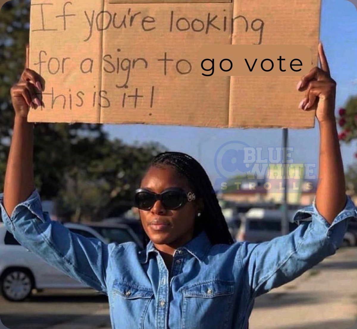 BlueWhiteStroll's tweet image. 🗣️ V O T E 🇺🇸