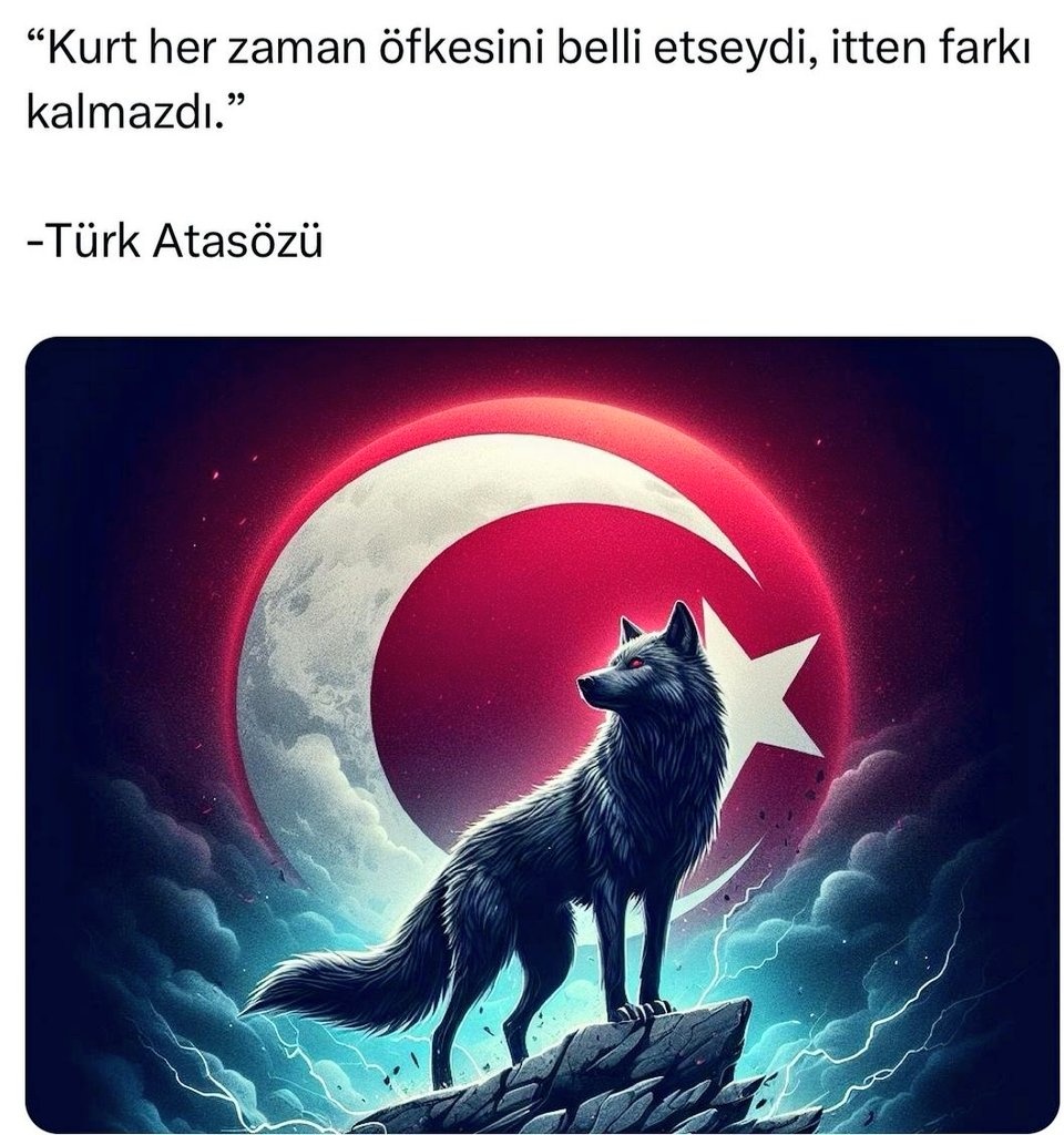 savyavuzergin's tweet photo. #TürkiyeTürktürTürkkalacak
#kayyum
#yavuzergin https://t.co/mMGol7UFd2
