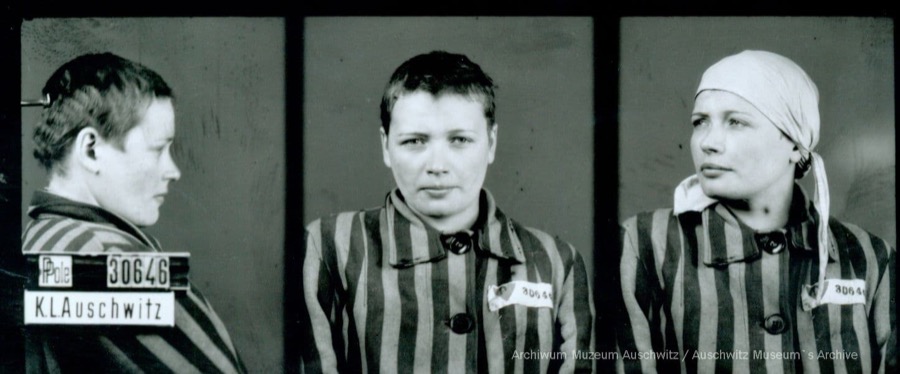 Auschwitz Memorial tweet media