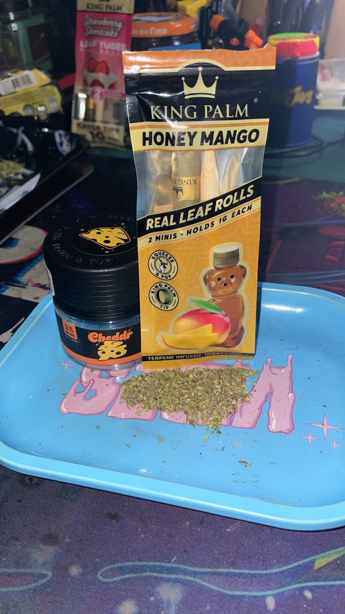 ITSOKTODIEtv's tweet photo. #StonerFam I Had some of the amazing @Cheddrco_ Pave THCA Flower for tonight’s sesh packed up in a @realkingpalm it hit crazy good, got a review video coming soon 😎😮‍💨😶‍🌫️💚

#Review #WeedReview #Cheddr #KingPalm #Mmemberville 

@ChronicSession #Vibes tray ✅⛽️🔥 https://t.co/Q2P25bRZst